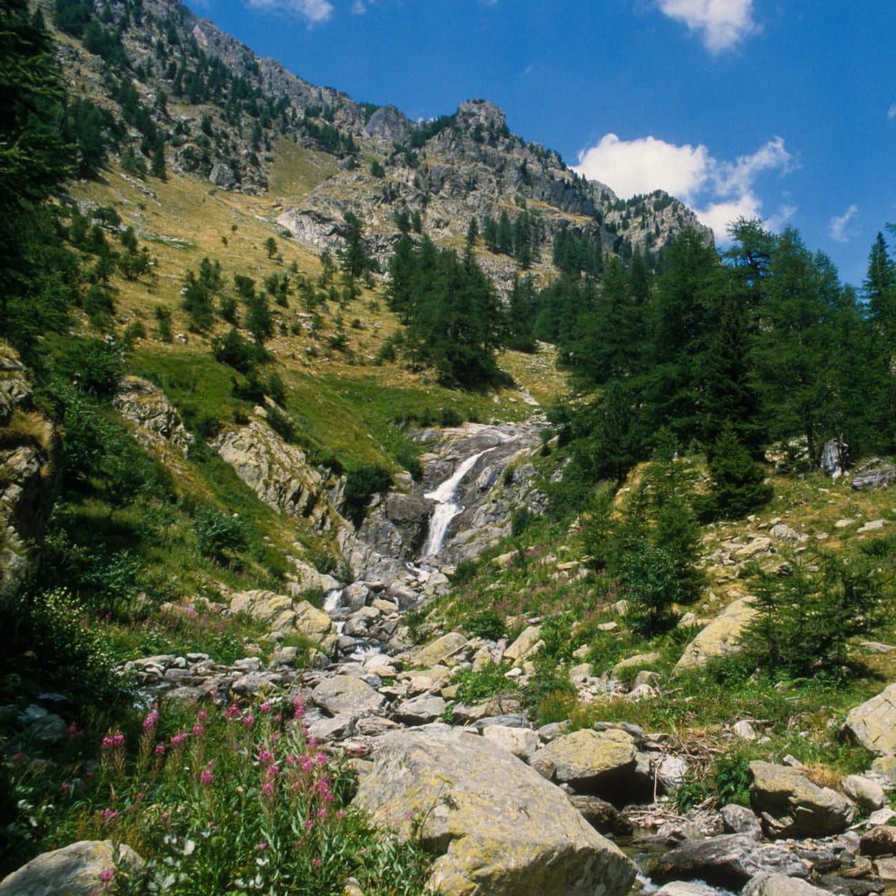 Randonnée Mercantour : eau ruisselant sur roche et vallée verdoyante
