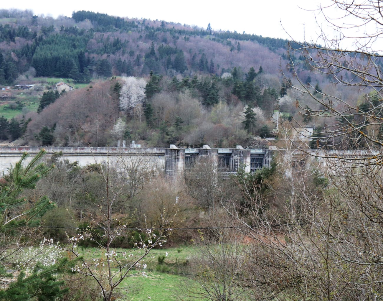 Photo de la forêt à proximité du lac de Lavalette.