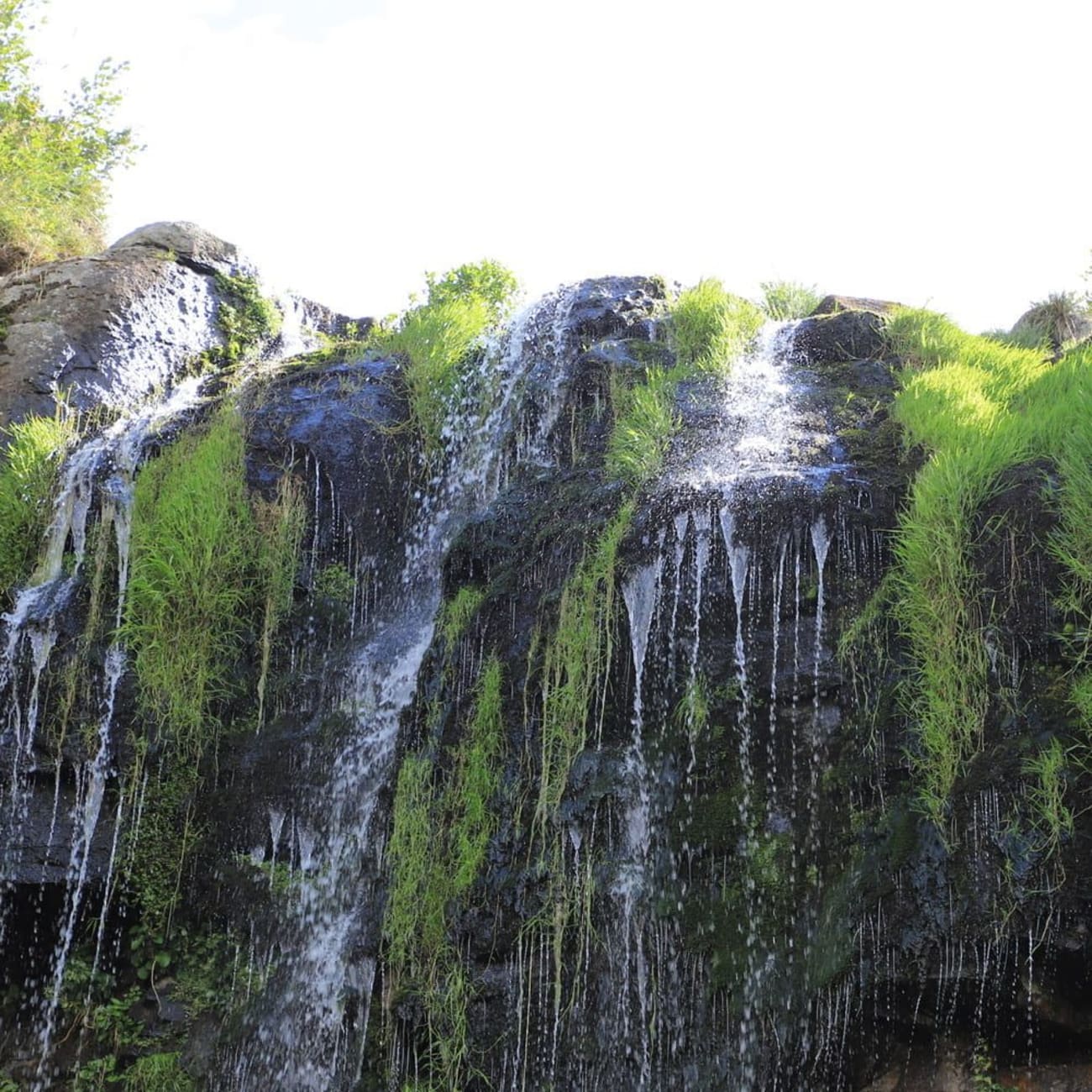 Randonnée cascades Haute-Loire : eau dégoulinant sur roche sombre et herbeuse