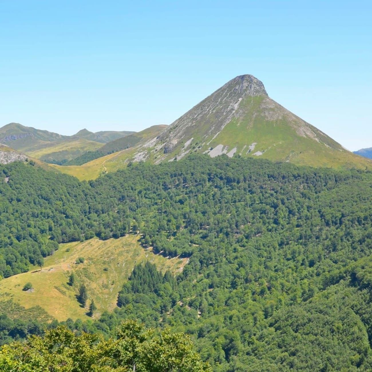 Randonnée puy Griou : vue sur le puy Griou émergeant de sa forêt environnante