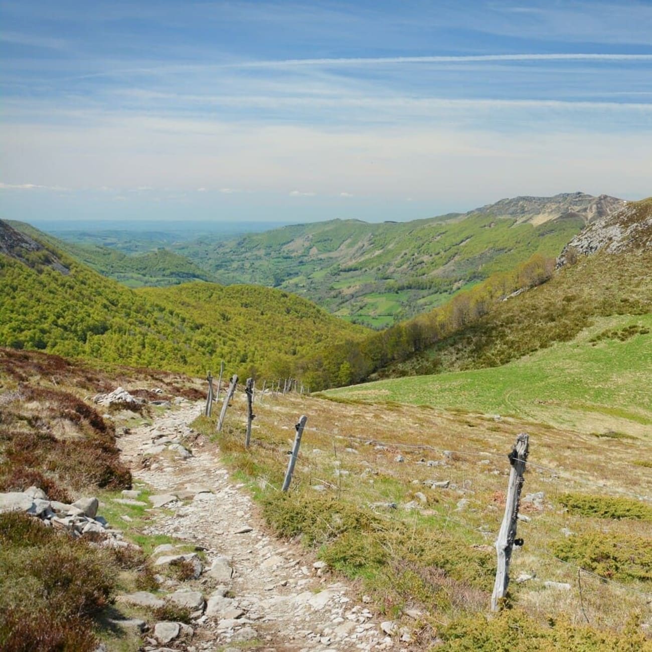 Randonnée puy Griou : sentier de randonnée dans le Cantal