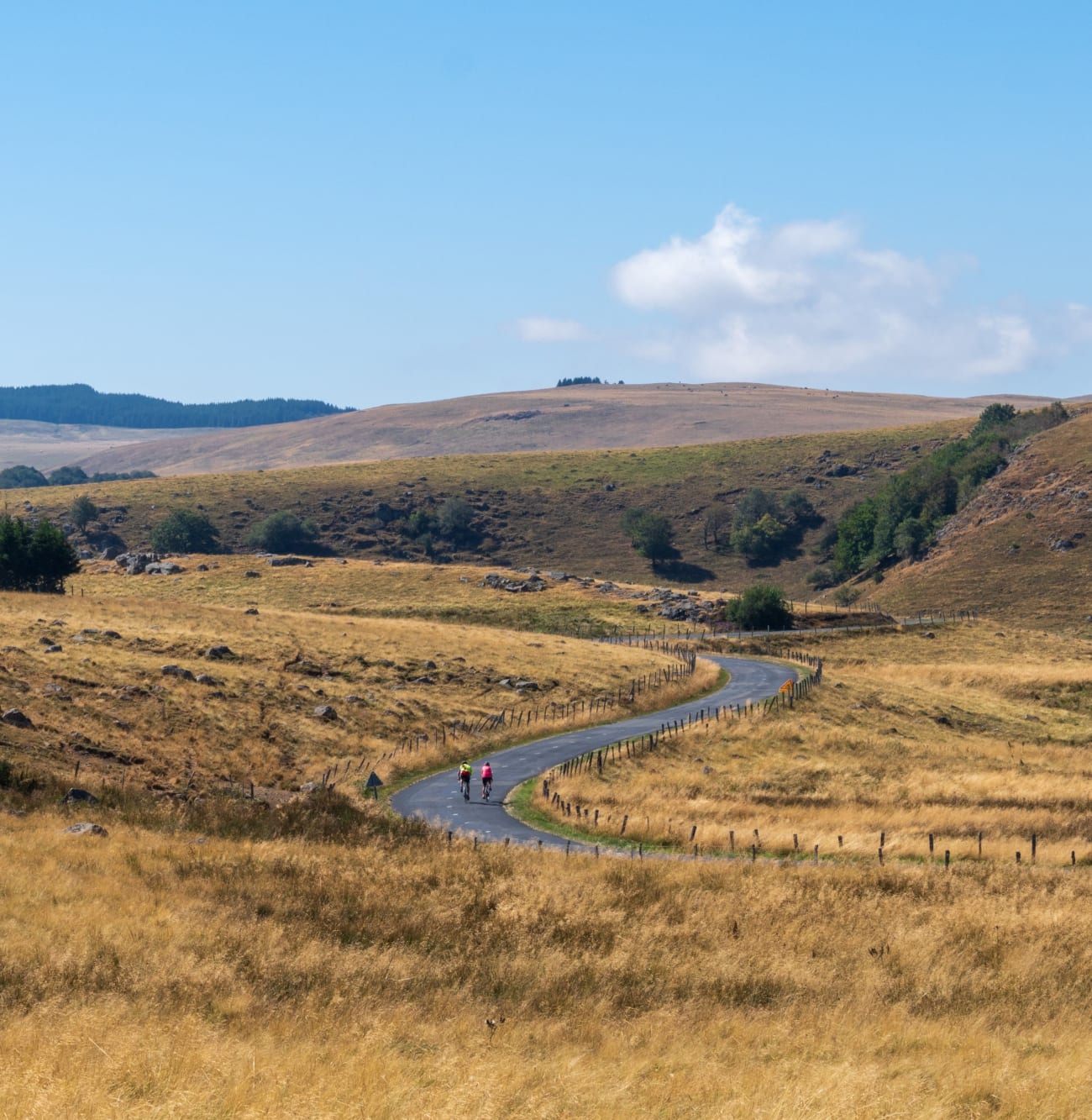 Photo de deux cyclistes en route vers le col d'Aubrac.