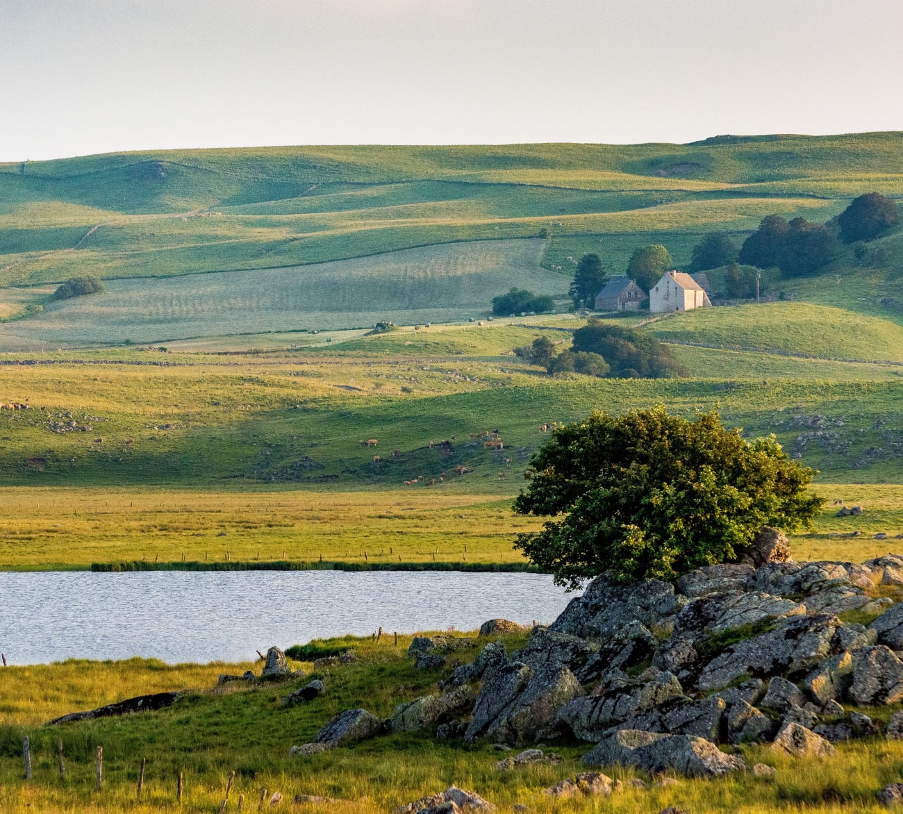 Vue sur le plateau de l'Aubrac.