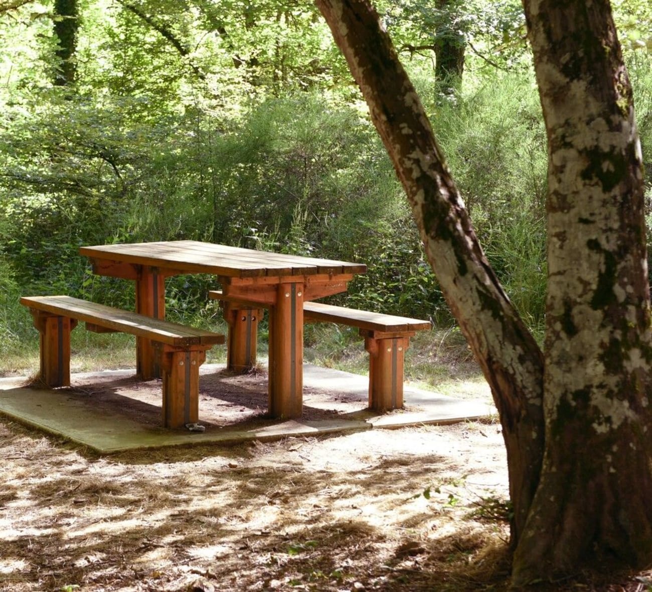 Table de pique-nique à proximité de la forêt de Bouconne.