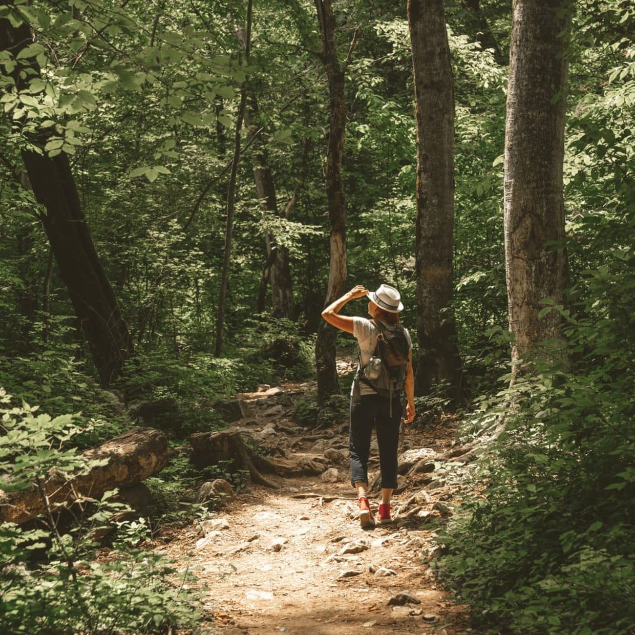 Randonnée forêt de Buzet : personne avec chapeau de dos dans forêt