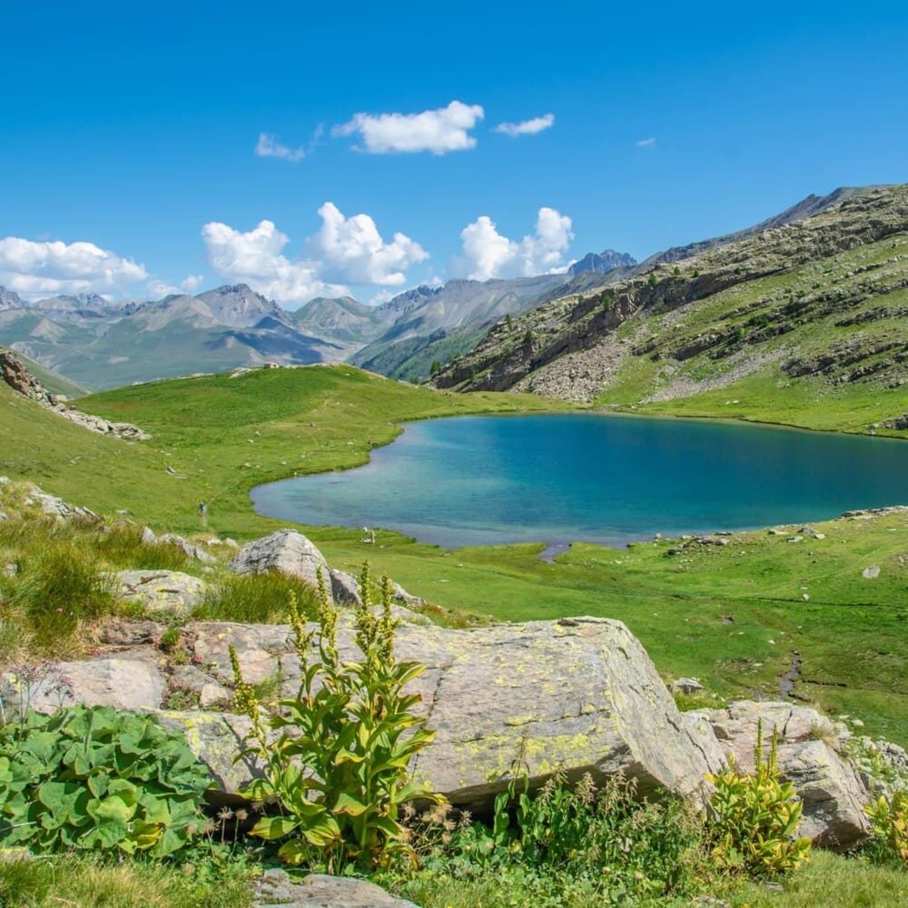 Randonnée lac du Lauzanier : le lac et son écrin de verdure