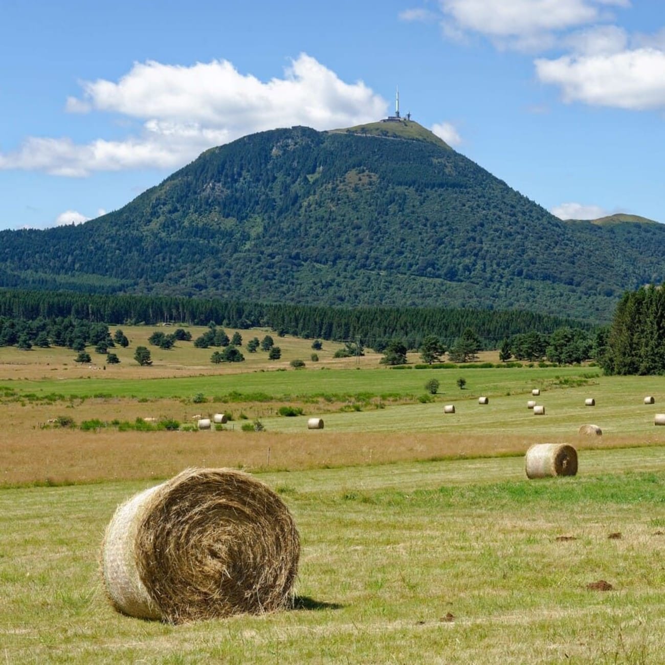Chemin des Muletiers : ballots de paille au pied du puy de Dôme