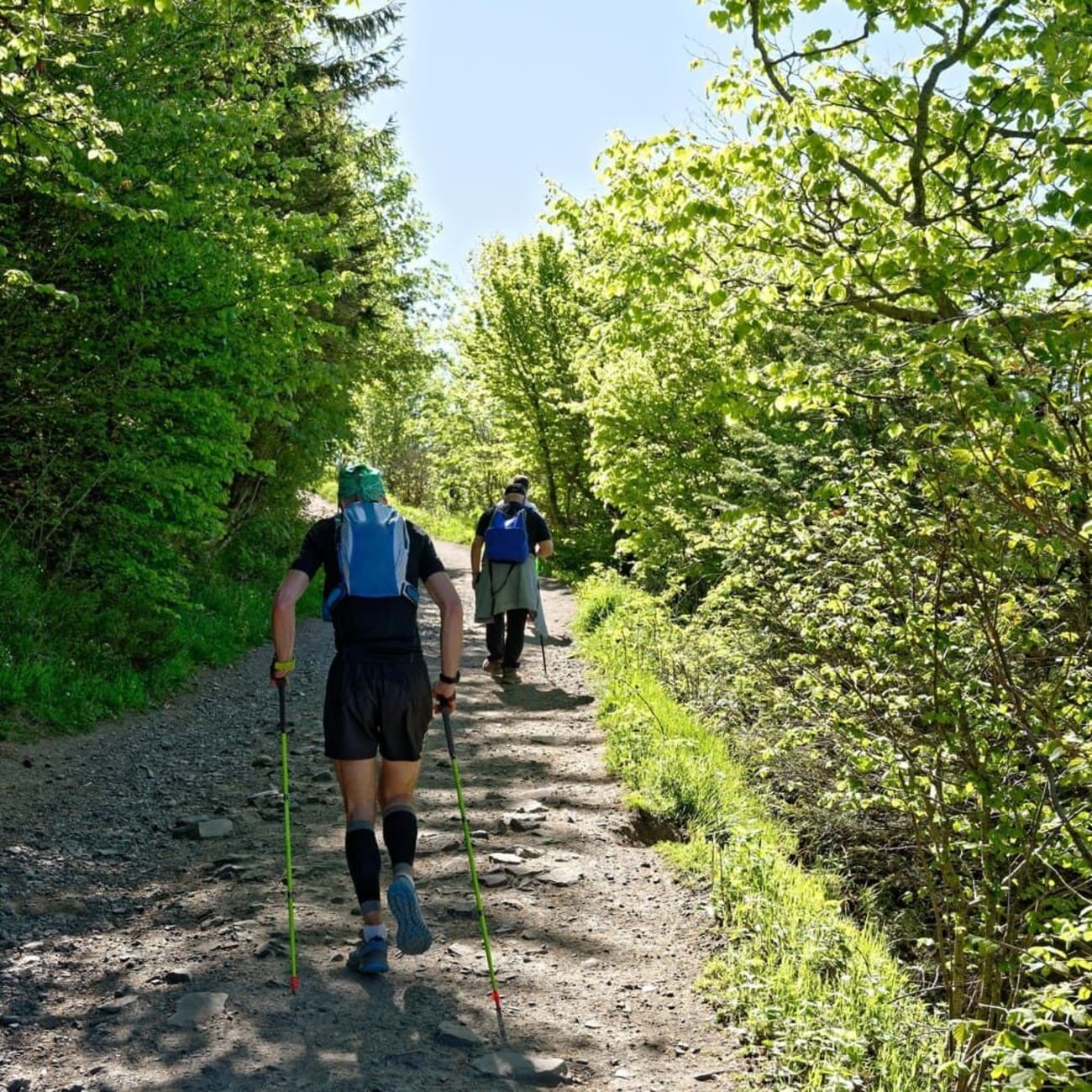 Chemin des Muletiers : randonneurs en train de monter le puy de Dôme