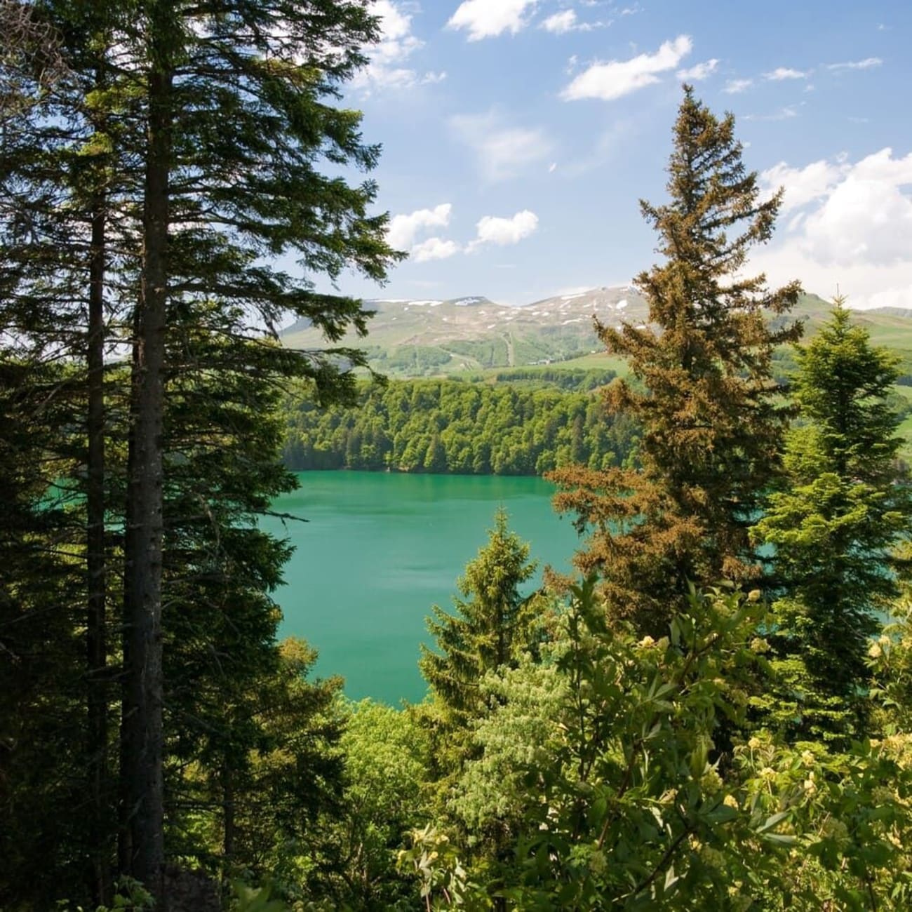 Randonnée lac Pavin : vue sur le lac derrière les conifères