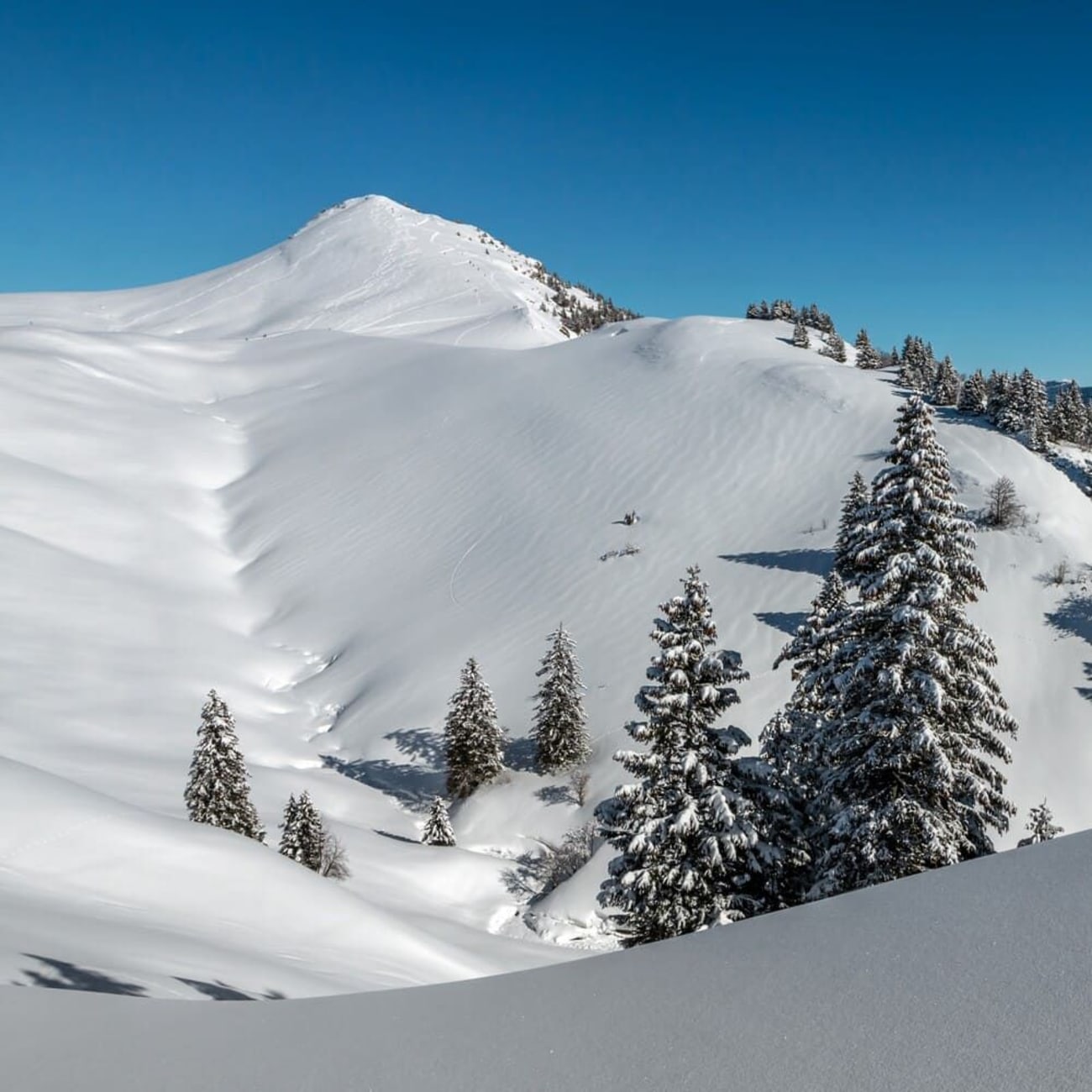 Randonnée raquettes chartreuse : vue sur le Charmant Som enneigé