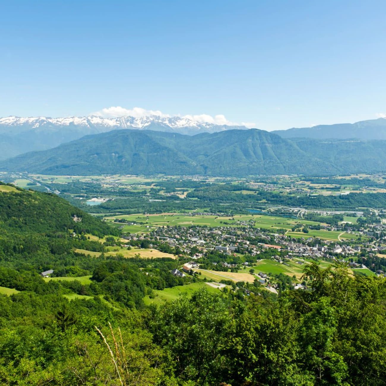 Randonnée mont Revard : vue sur plaine et montagnes verdoyantes