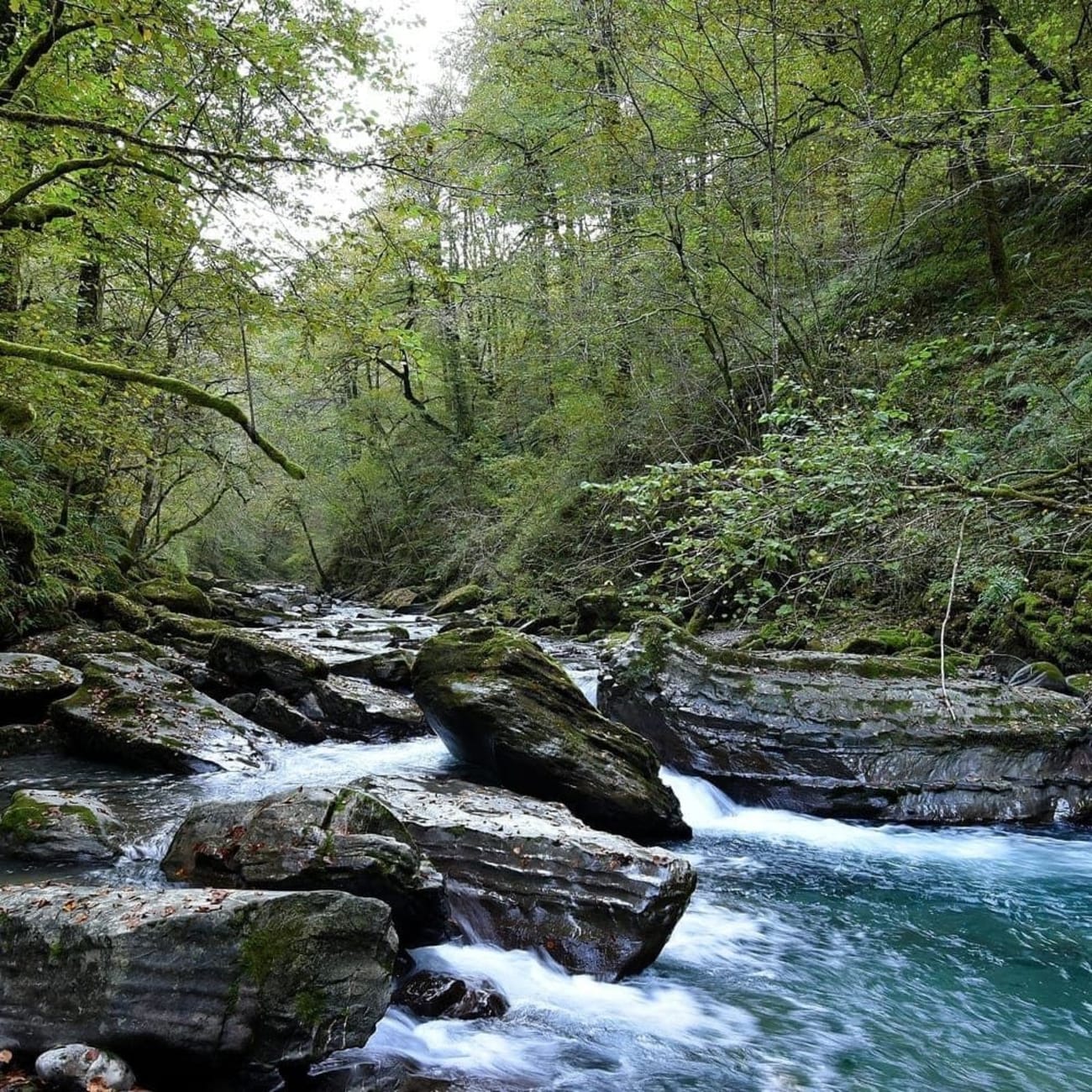 Randonnée passerelle d'Holzarte : torrent d'eau bleue courant entre les roches dans une forêt