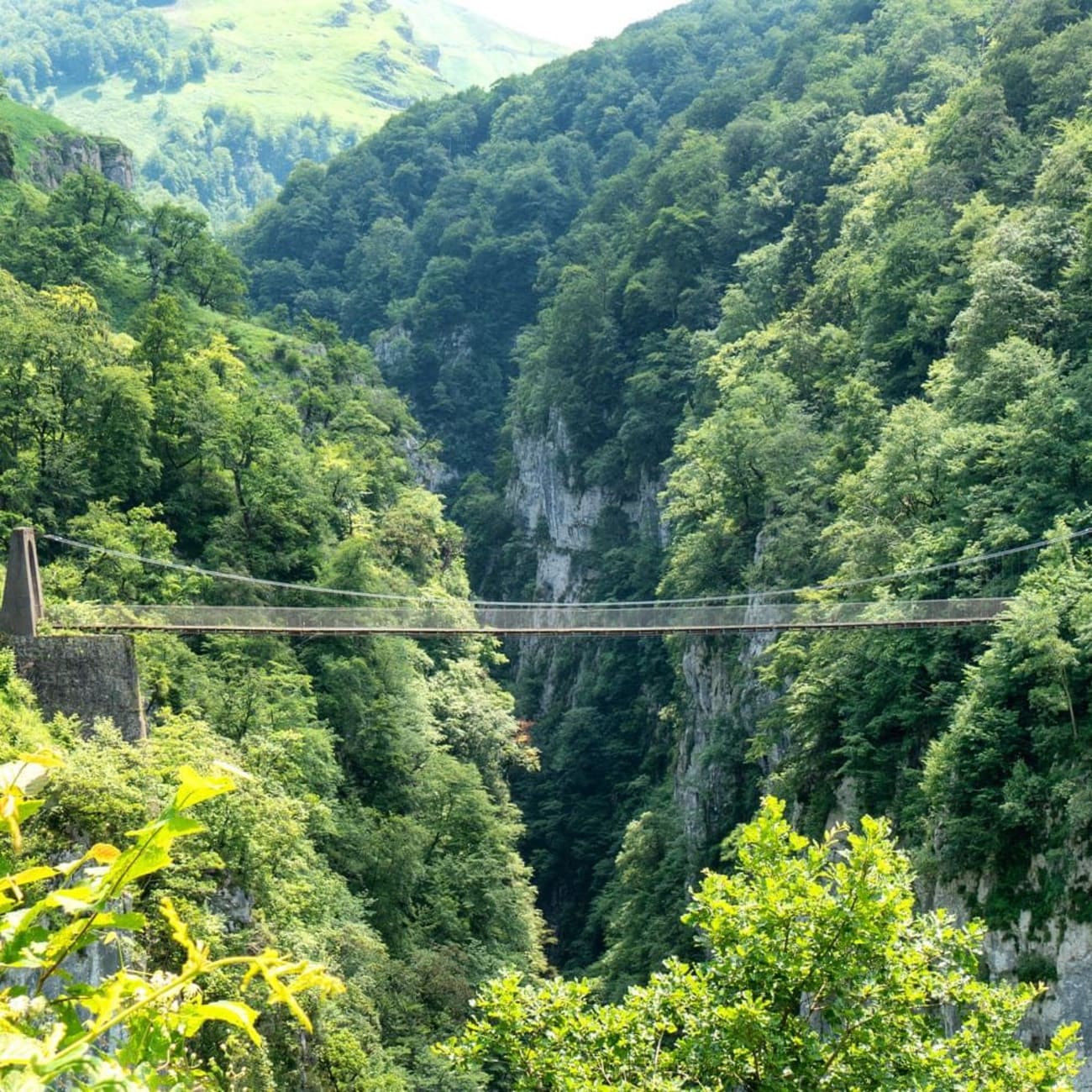 Randonnée Pays basque : pont suspendu au-dessus d'un canyon et nature luxuriante