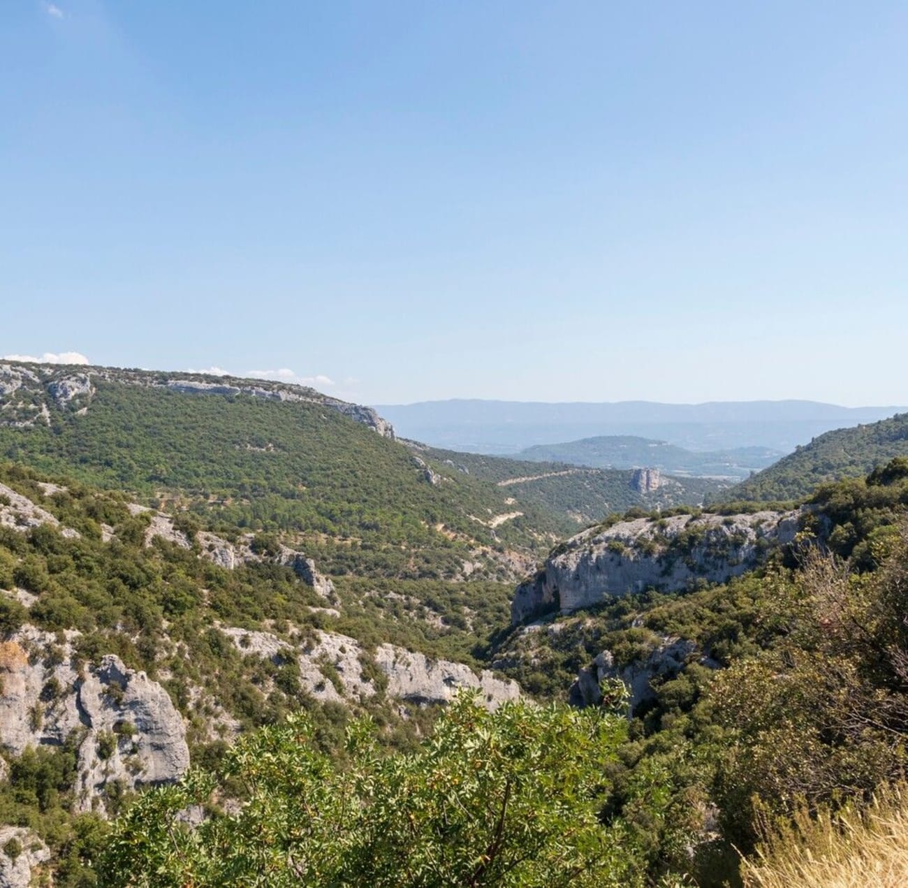 Vue sur les gorges de la Nesque.