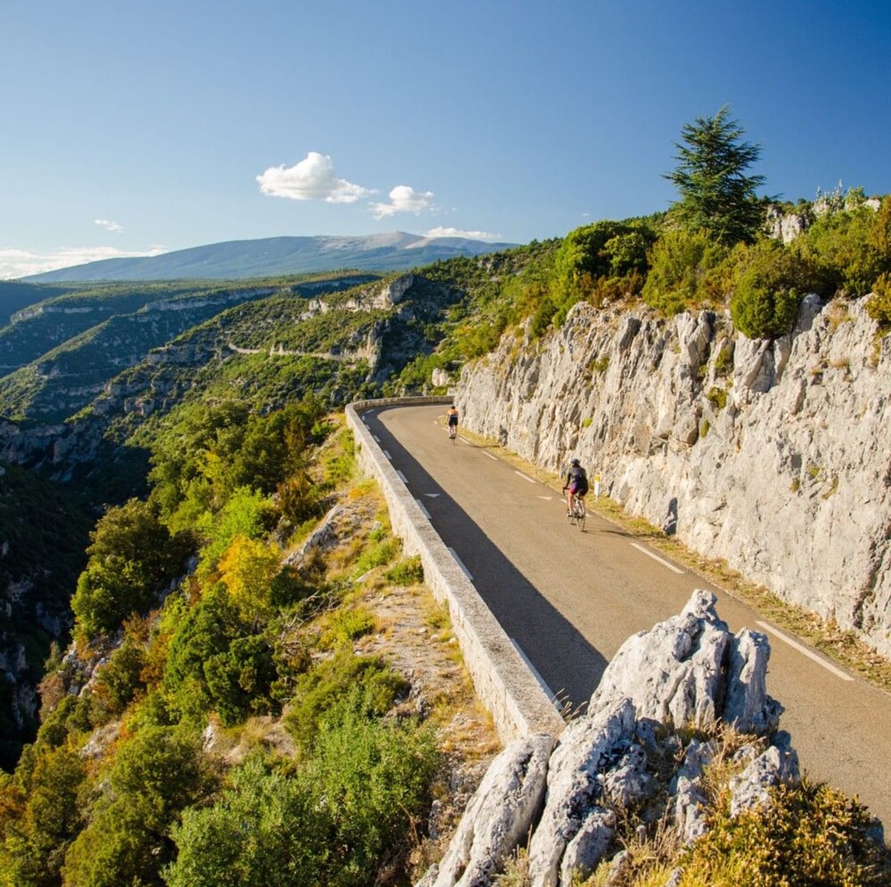 Cyclistes sur la route des gorges de la Nesque.