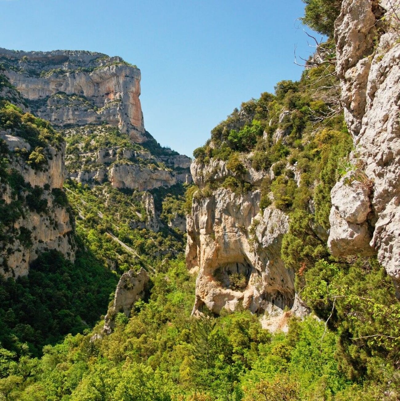 Photo des falaises des gorges de la Nesque à découvrir en randonnée.