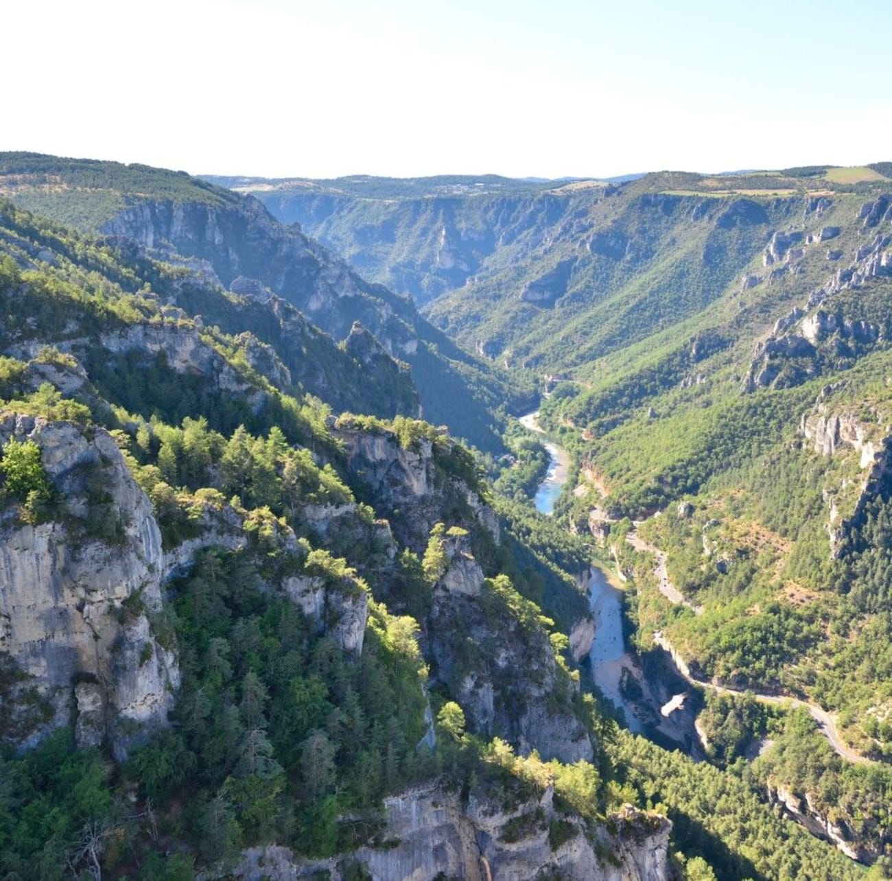 Vue sur les gorges du Tarn depuis le roc des Hourtous.