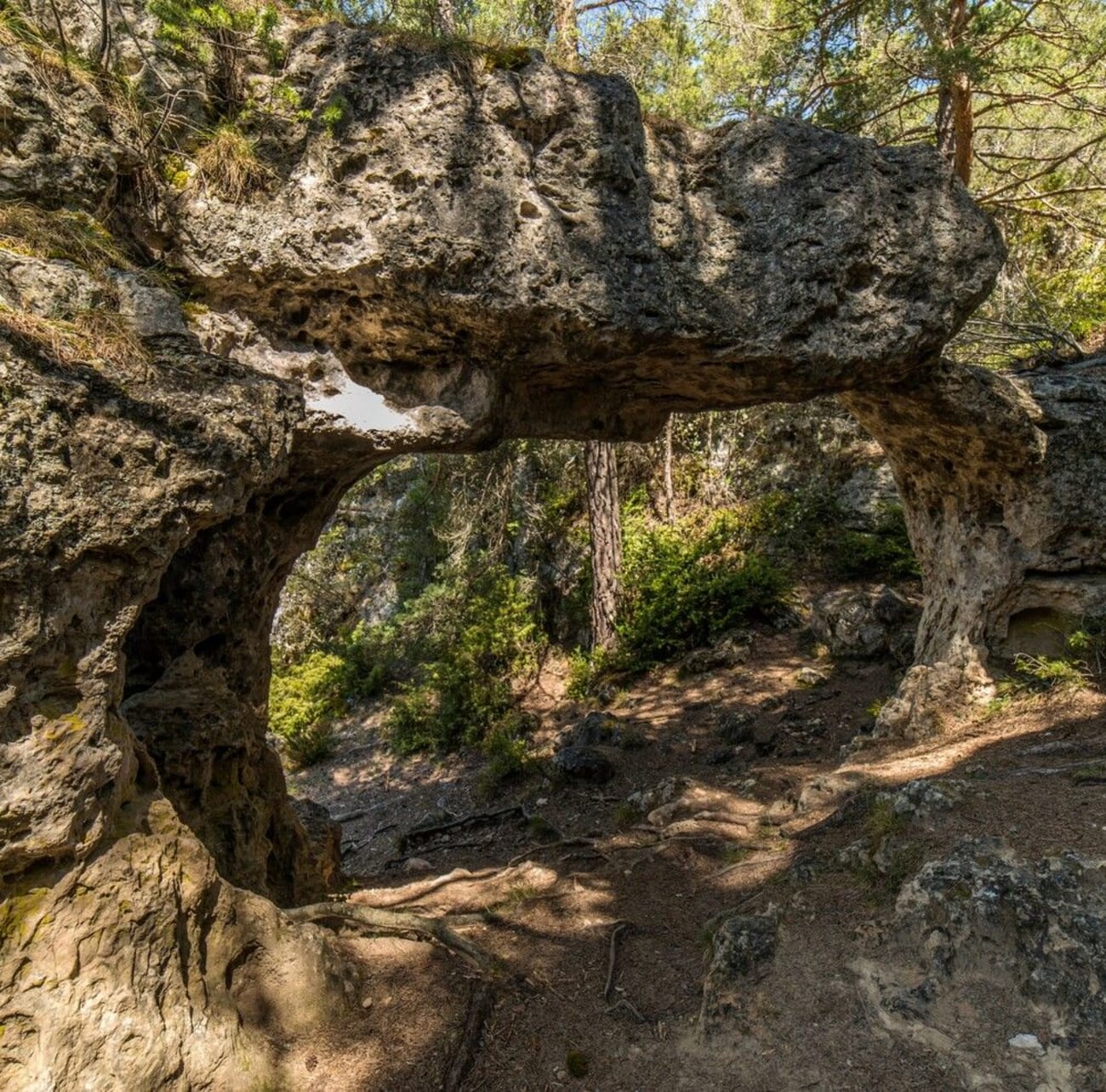 Photo des arcs de Saint-Pierre en randonnée dans les gorges du Tarn.