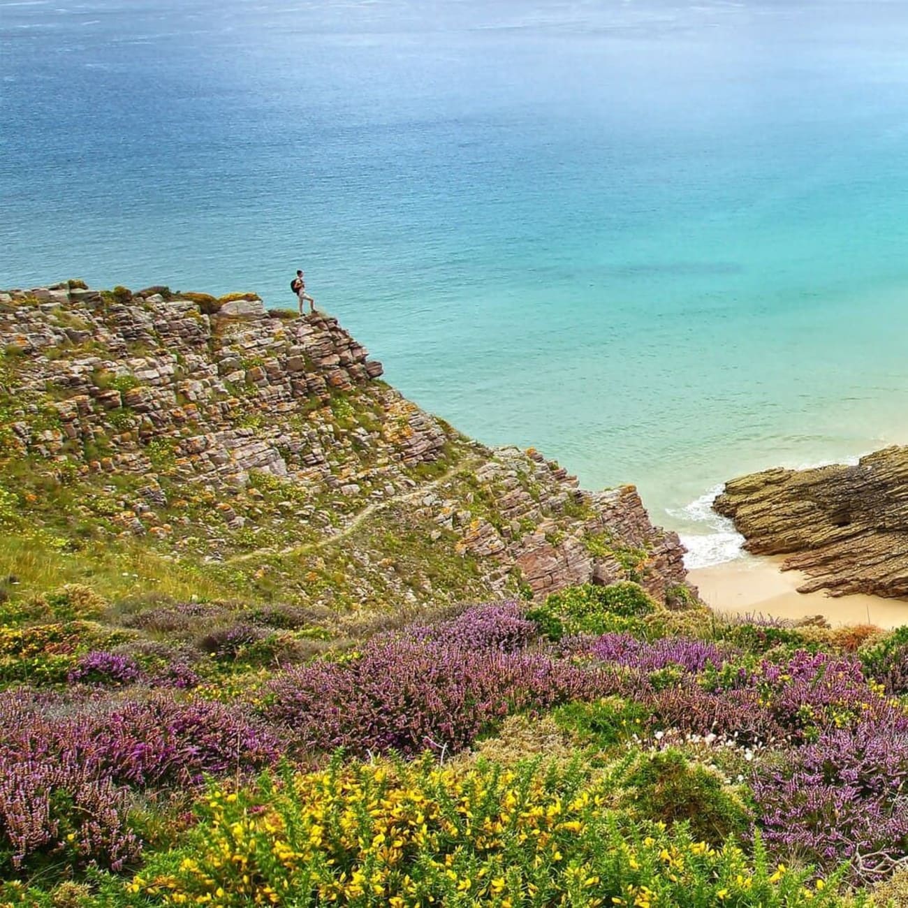 Randonnée cap Fréhel : randonneur sur les falaises du cap Fréhel