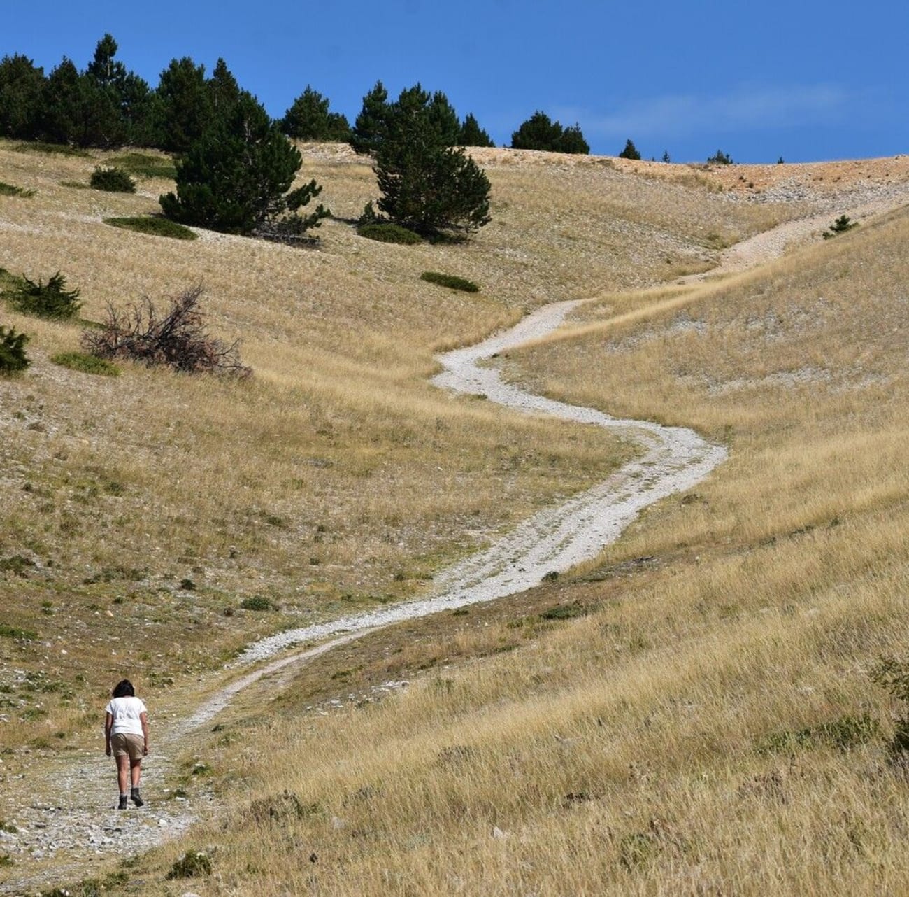 Randonneuse sur un sentier à proximité du mont Ventoux.