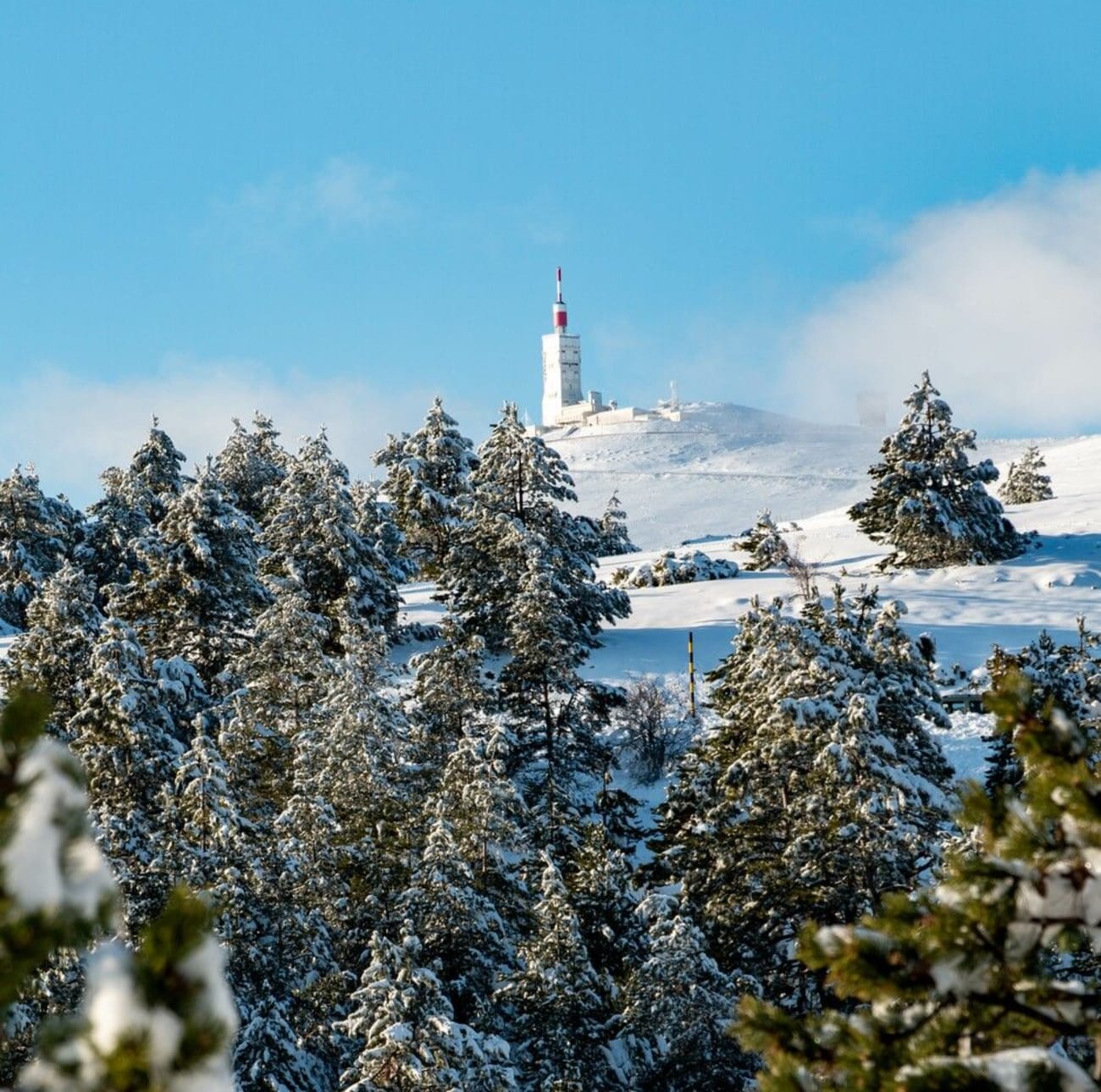 Vue sur le mont Ventoux en hiver depuis la forêt.