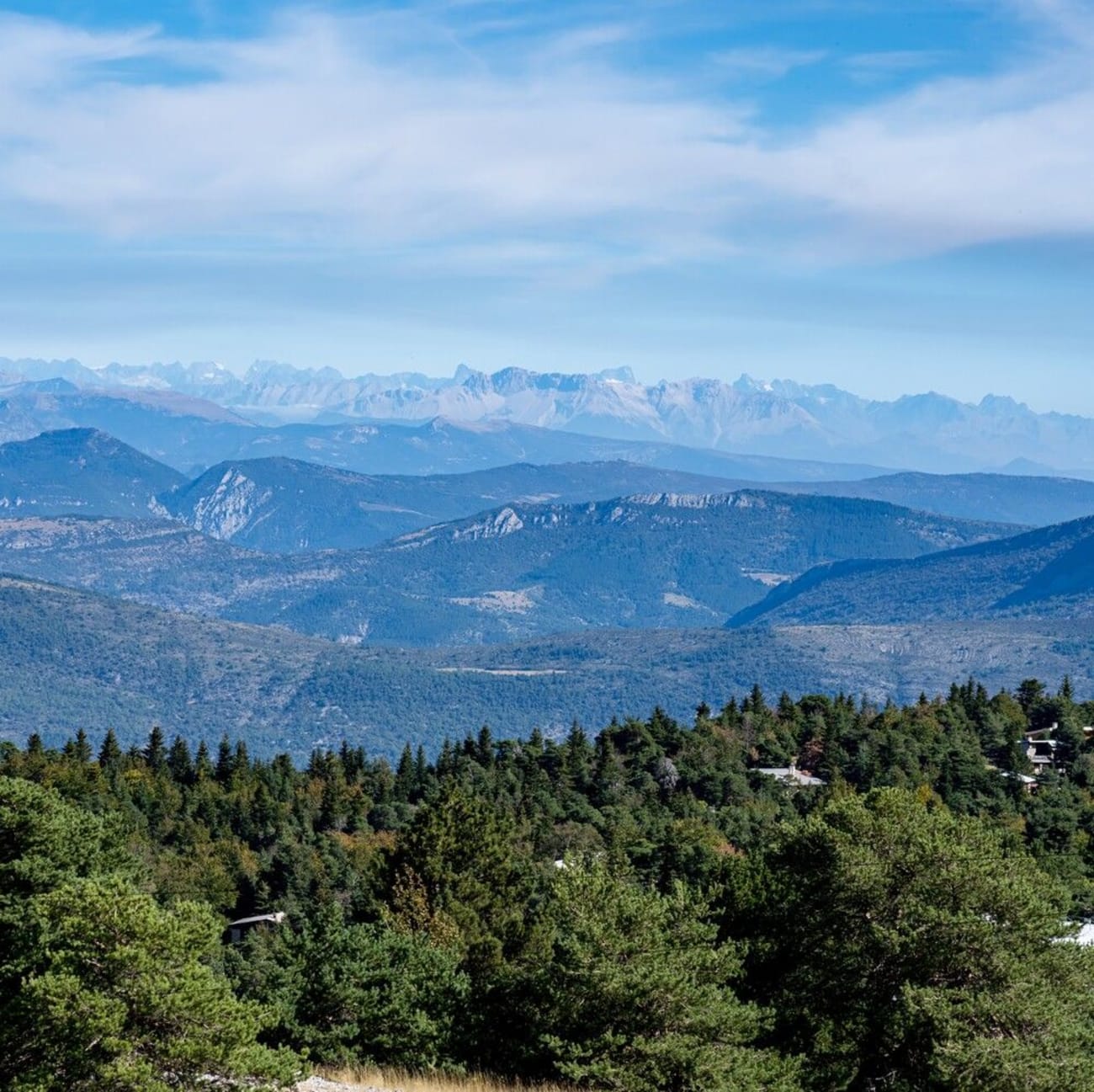 Vue sur les Alpes lors d'une randonnée au mont Ventoux.