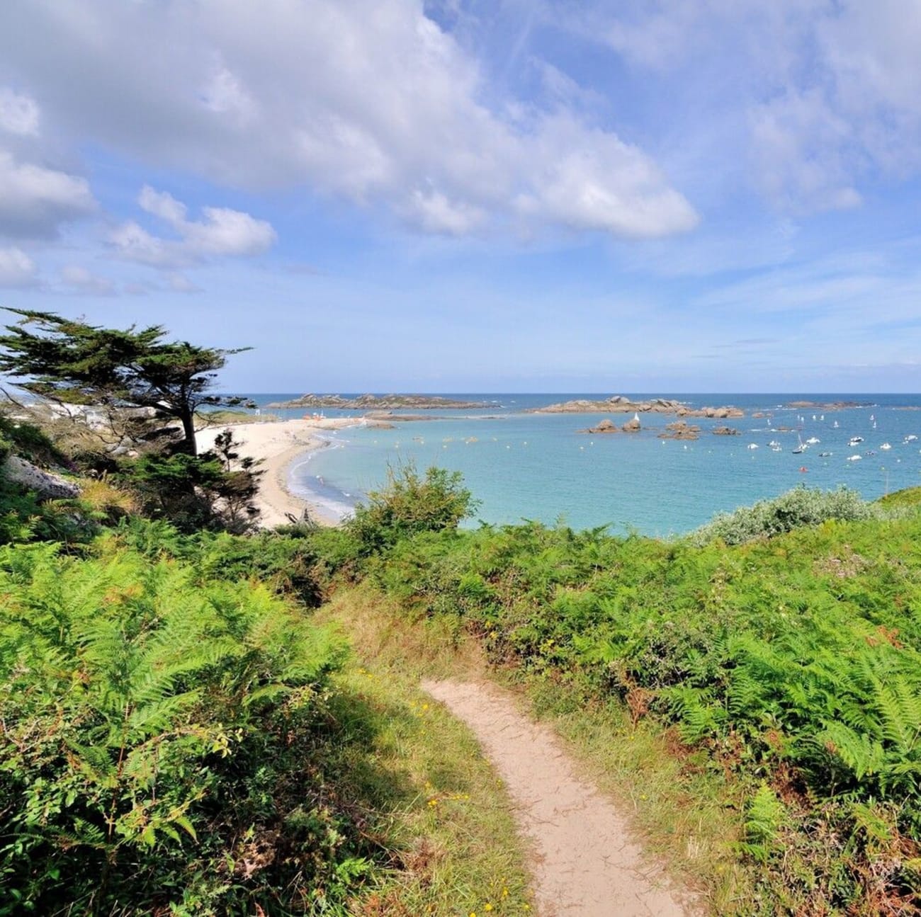 Vue sur la plage de la Grève Blanche en randonnée non loin de l'île Renote.