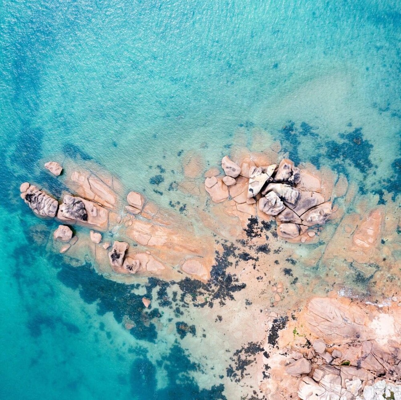 Granit rose sur les Côtes-d'Armor.