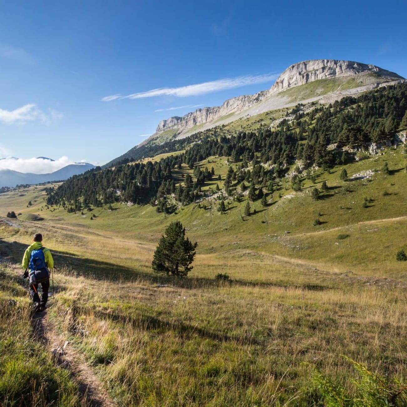 Randonnée Vercors : randonneurs sur plateau au pied de montagnes