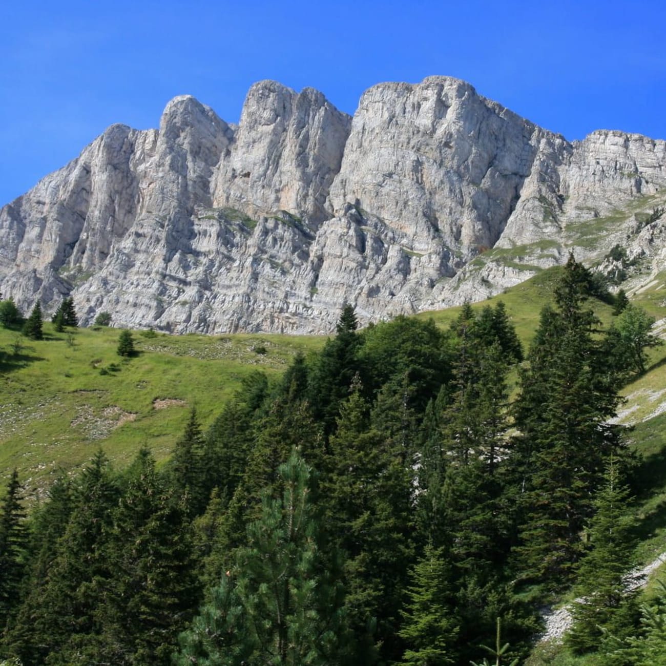 Randonnée Vercors : montagne rocheuse et végétation au pied