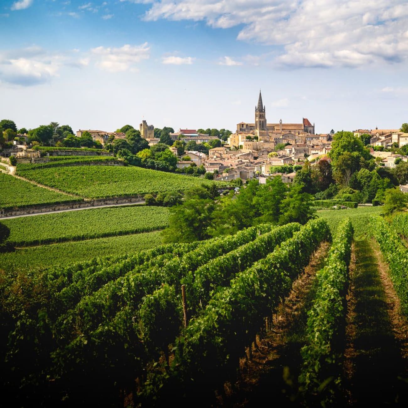 Randonnée Bordeaux : étendue verte de vignes et village au fond