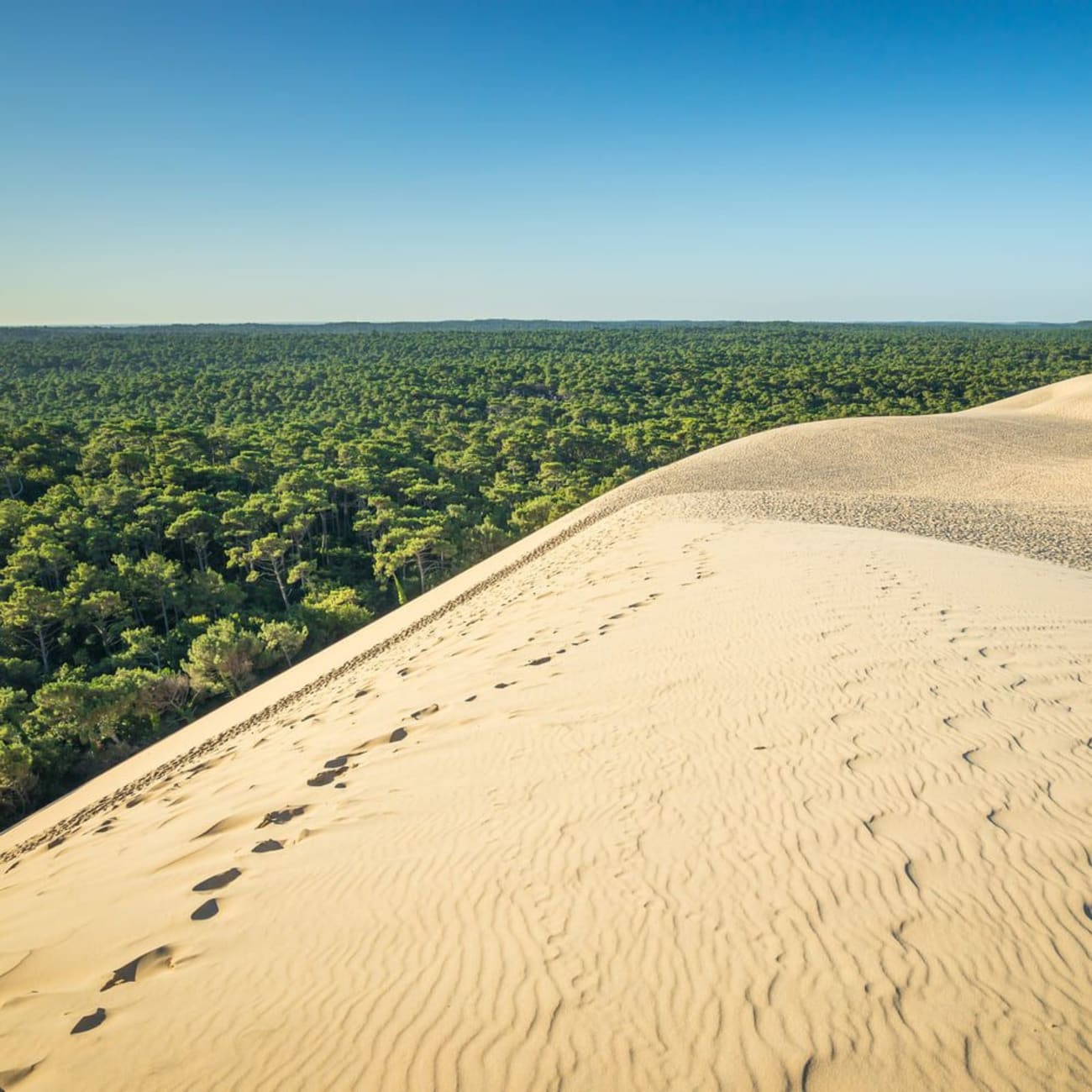 Randonnée Bordeaux : montagne de sable avec empreintes de pieds et forêt côte à côte