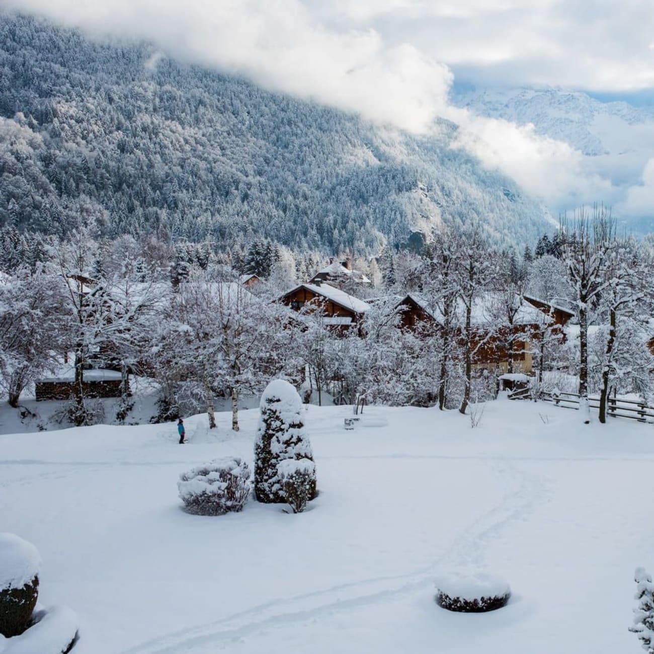 Randonnée raquettes Chamonix : étendue de neige, arbres et arbustes, maisons en bois