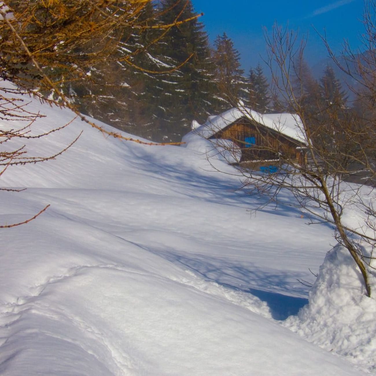 Randonnée raquettes Chamonix : chalet en bois dans pente enneigée et arbres