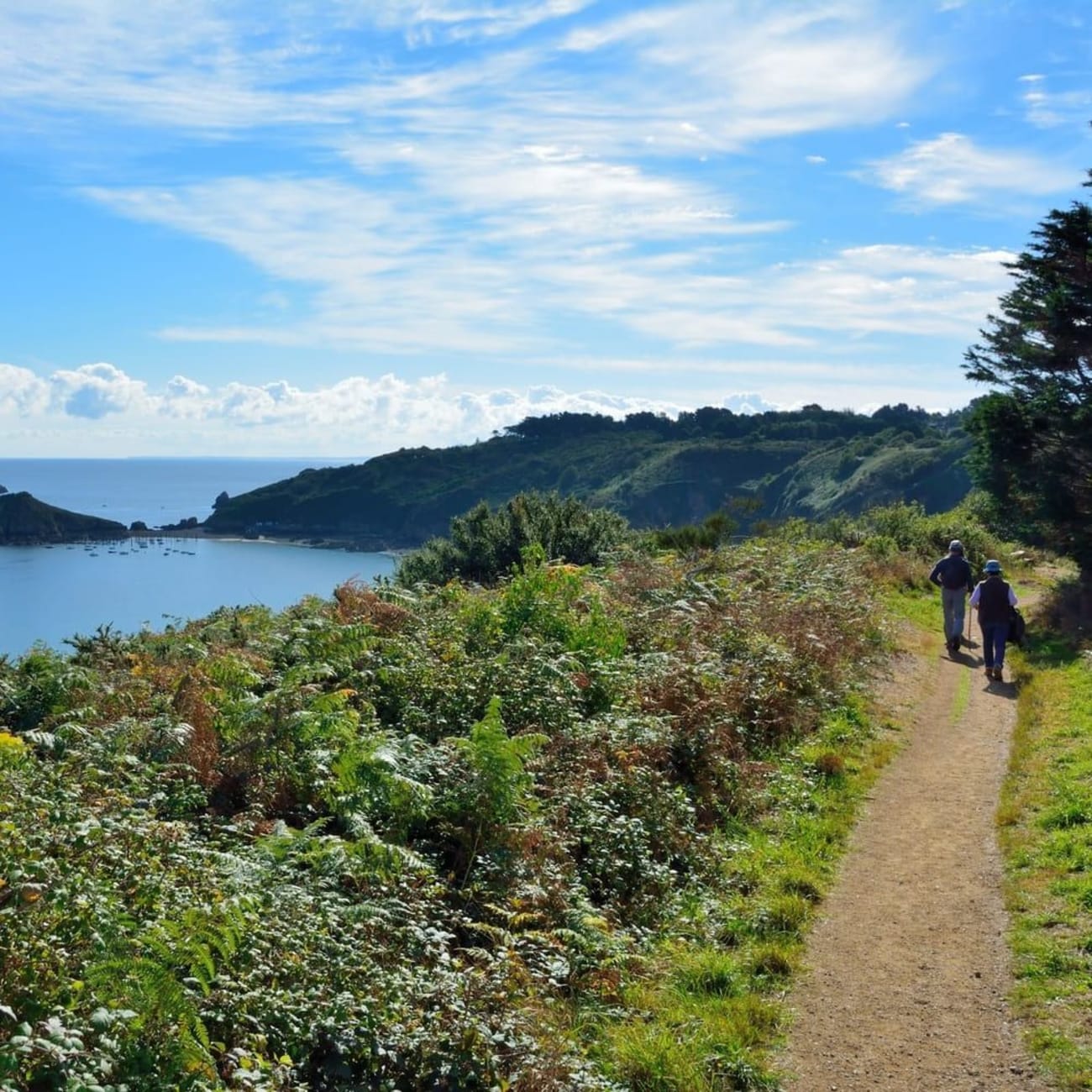 Randonnée pointe de Plouha : deux randonneurs marchant sur sentier sur falaises végétalisées