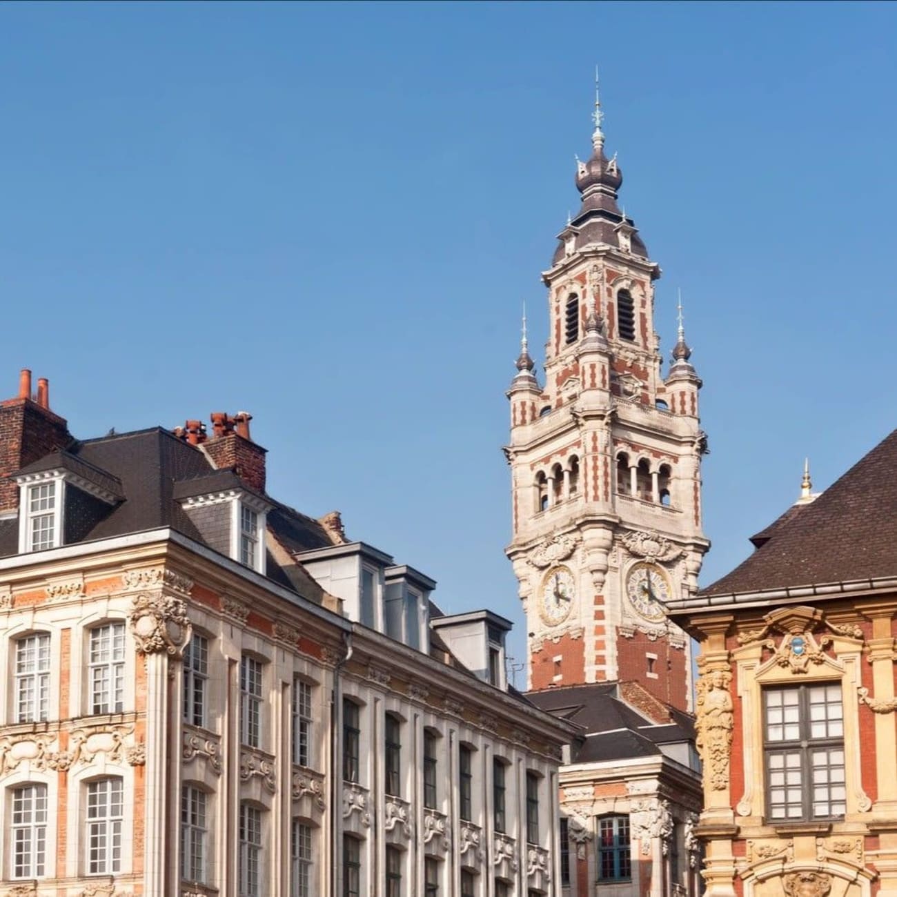 Balade à Lille : vue sur le beffroi de l'hôtel de ville de Lille et les façades à l'architecture typique