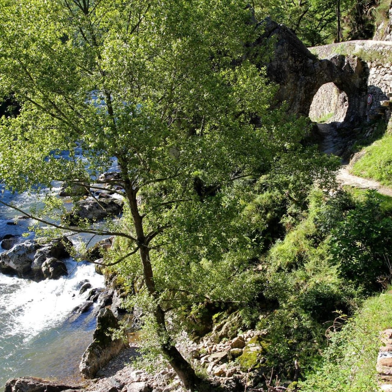 Randonnée pas de Roland : trou dans roche sur sentier bordé de végétation et d'un cours d'eau