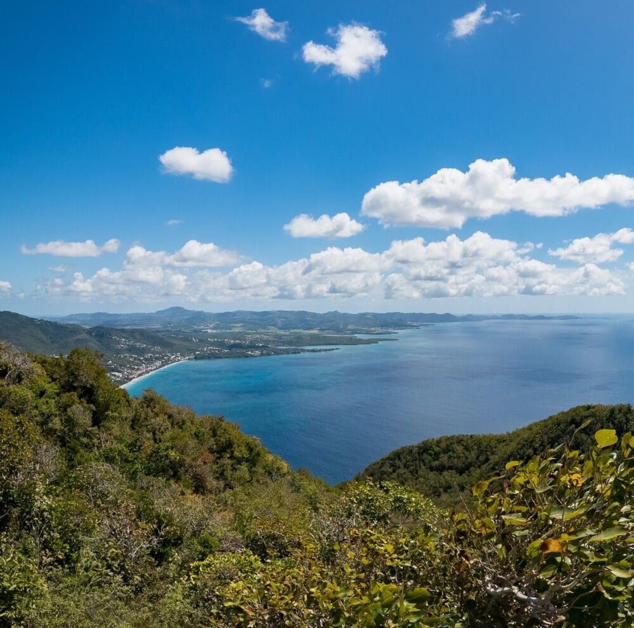 Photo sur le chemin de randonnée du Morne Larcher depuis l'anse d'Arlet.