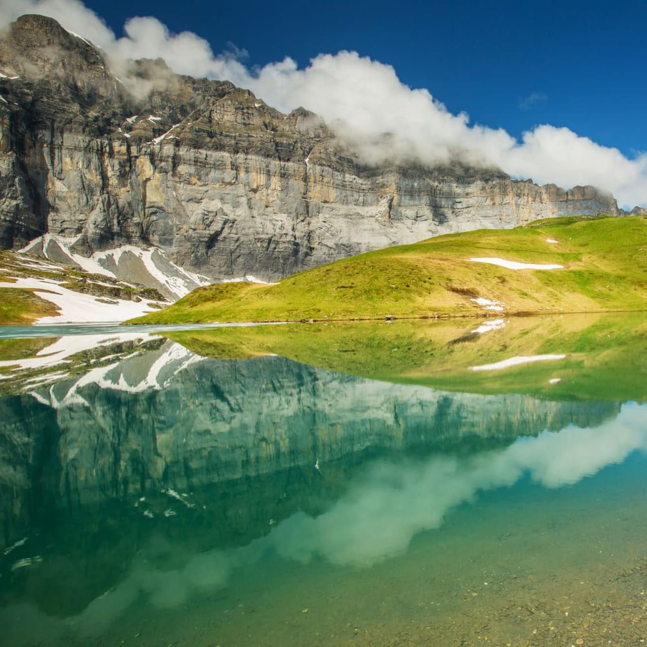 Randonnée lac d'Anterne : étendue d'eau turquoise au pied de pelouse verte, langues de neige et montagnes acérées