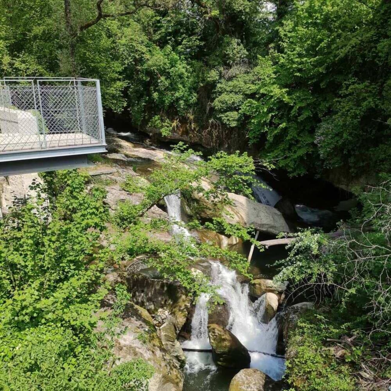 Randonnée gorges du Sierroz : passerelle au-dessus d'un torrent avec végétaux