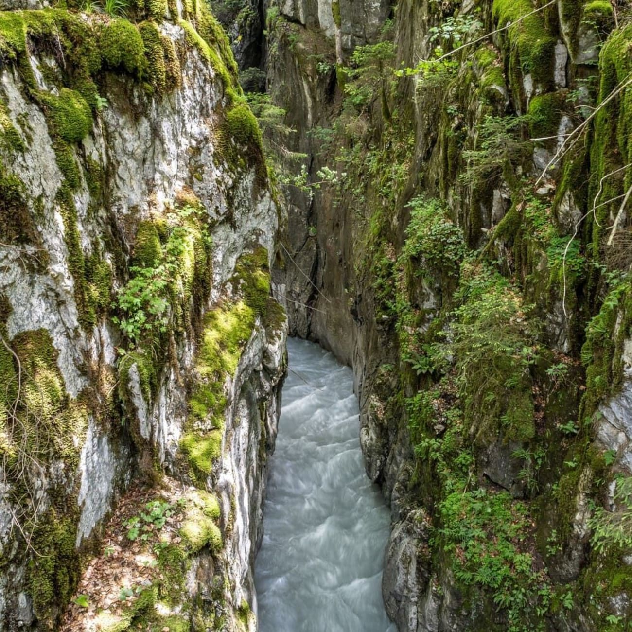 Le cours d'eau au fond des gorges des Tines, en randonnée