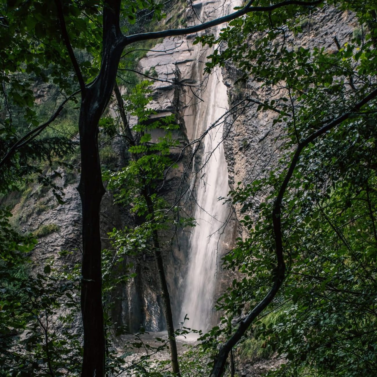 Randonnée cascade de l'Arpenaz : vue derrière arbres d'une chute d'eau le long de la roche