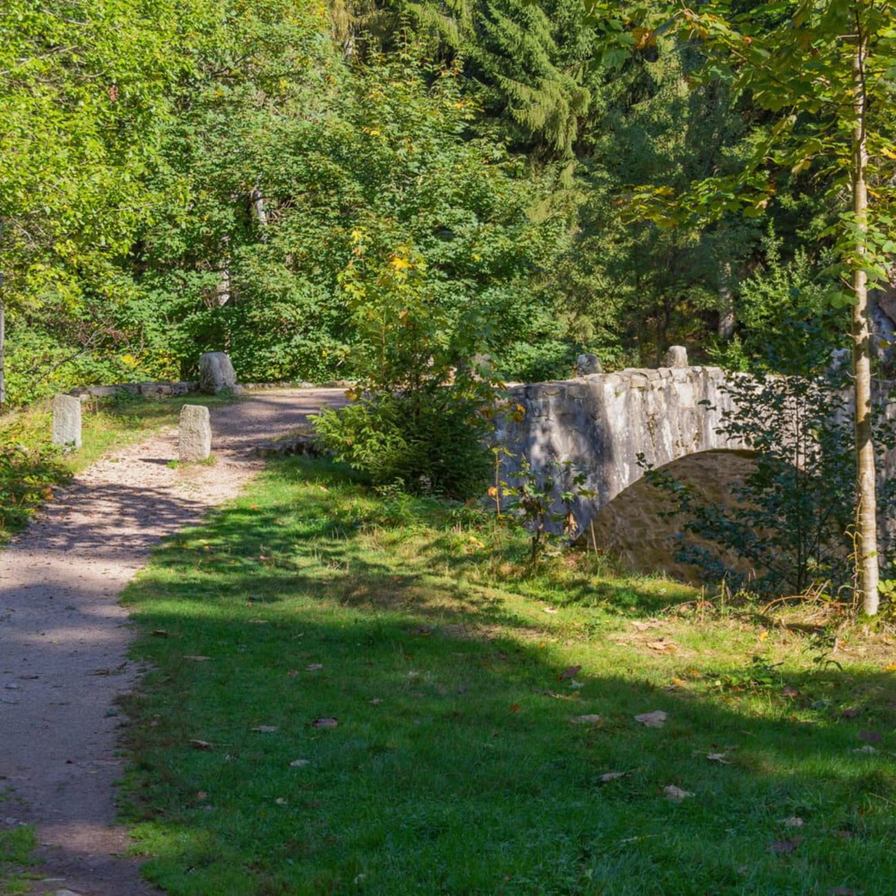 Randonnée Saut des Cuves : sentier entouré d'herbe et d'arbres verdoyants, avec pont en pierres sur la droite