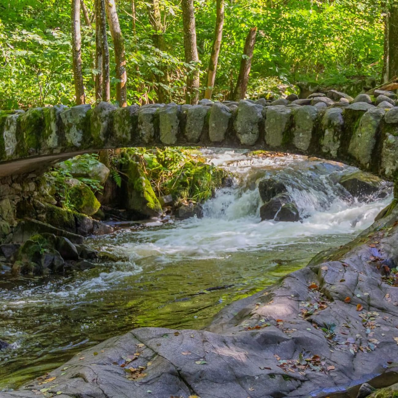 Randonnée Saut des Cuves : rivière passant sous pont en pierres