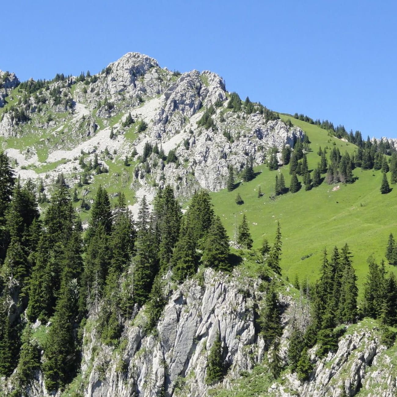 Randonnée lac d'Arvouin : pics rocheux entourés d'herbe et d'arbres verts