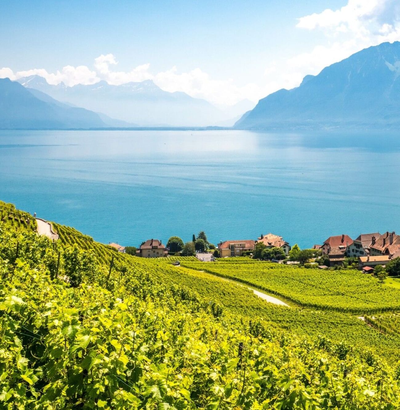 Vue sur le lac Léman en Haute-Savoie.