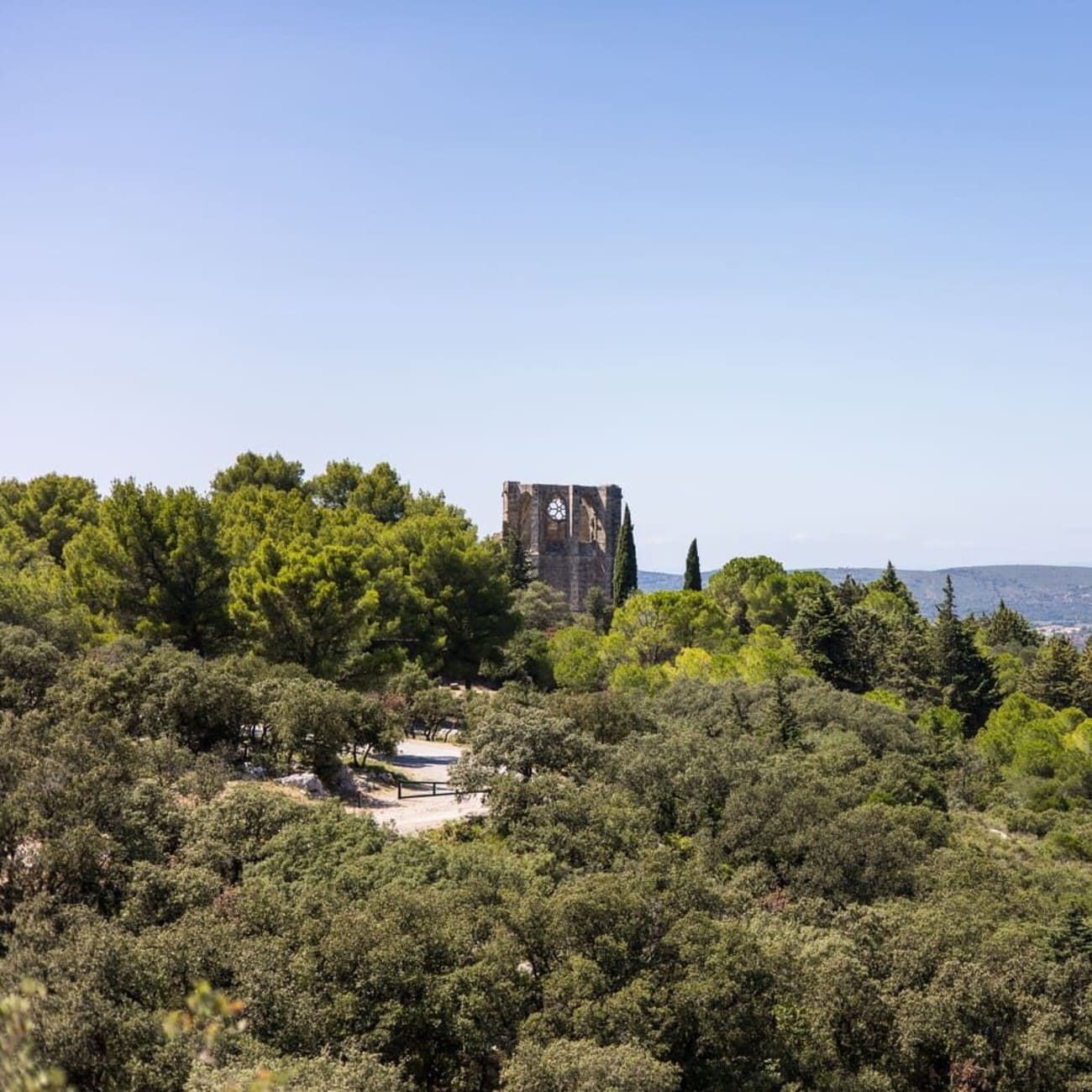 Randonnée massif de la Gardiole : vue sur l'abbaye et la végétation du massif
