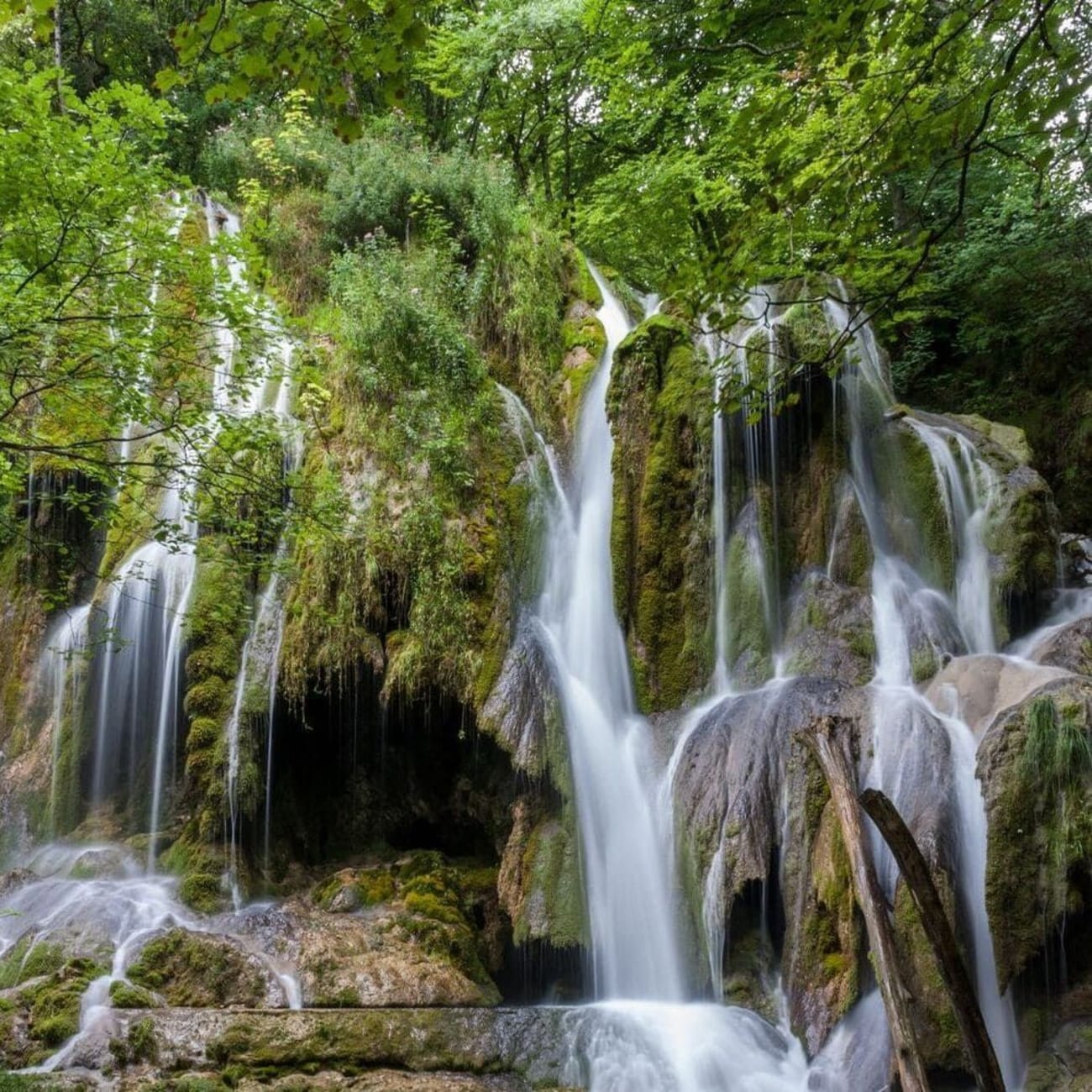 Randonnée cascades Ain : filets d'eau multiples coulant sur roche, entourés d'arbres
