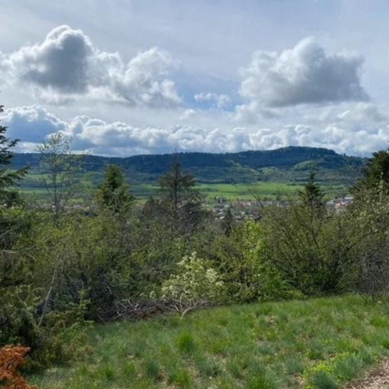 Randonnée cascades Ain : vue sur montagnes, pelouse et arbres verts
