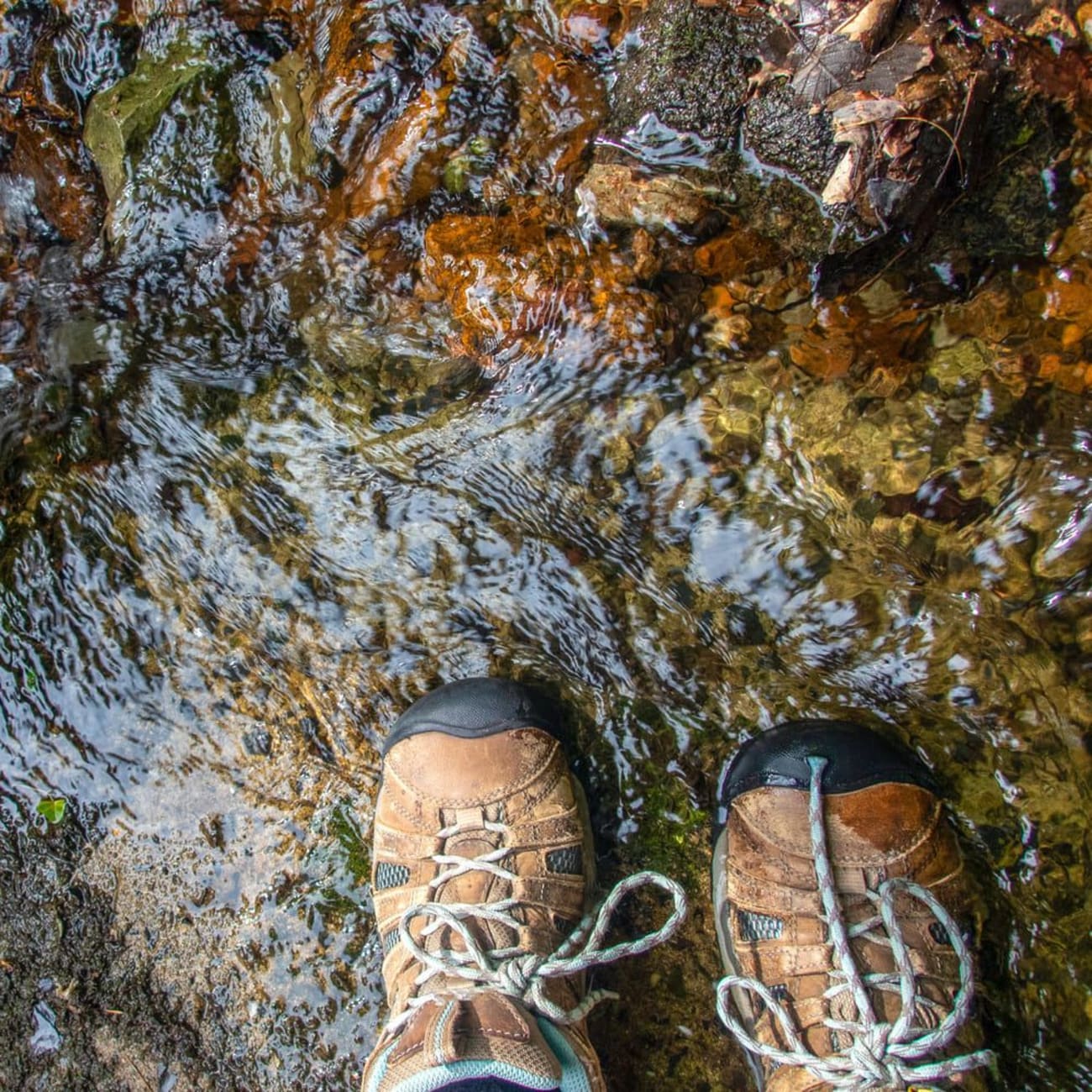 Randonnée cascades Ain : chaussures de randonnée dans eau de ruisseau